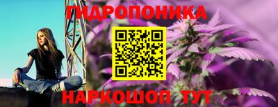 Альфа ПВП Будённовск